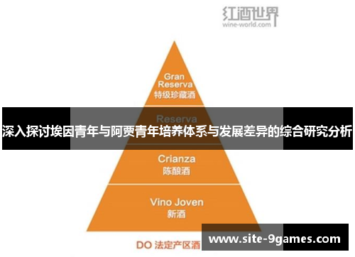 深入探讨埃因青年与阿贾青年培养体系与发展差异的综合研究分析